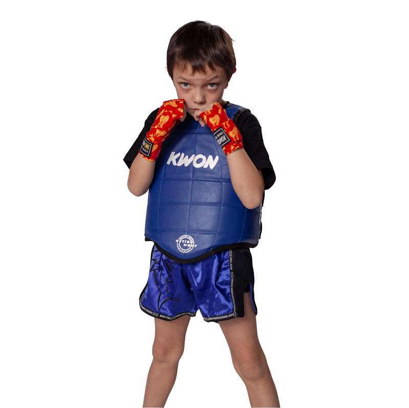 vesta protectie reversibila